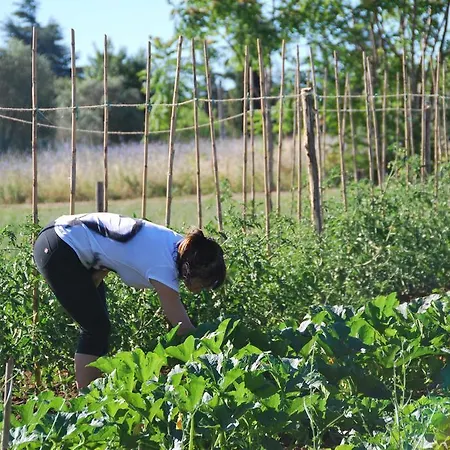 Le Torri Di Porsenna مزرعة للإقامة Petrignano Del Lago
