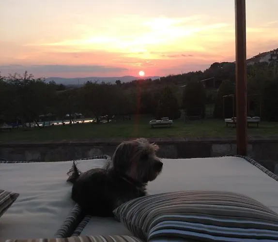 Le Torri Di Porsenna Vakantieboerderij