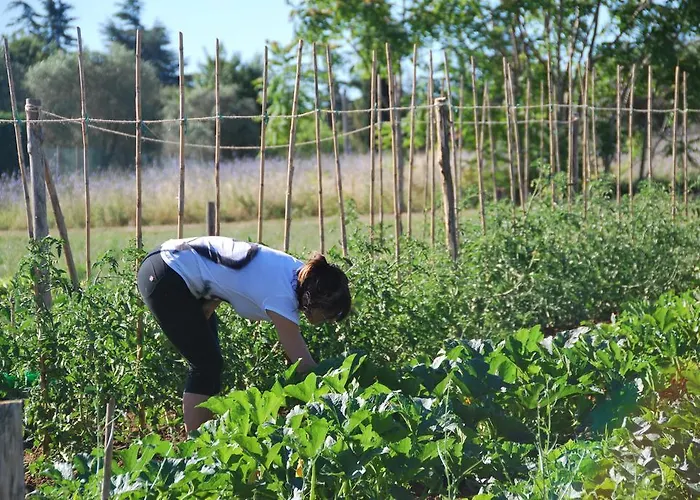 Le Torri Di Porsenna Vakantieboerderij Petrignano Del Lago